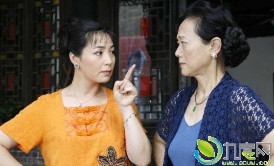 电视剧《欢喜亲家》