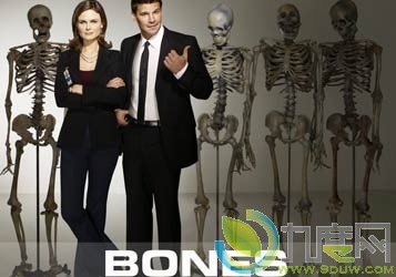 ʶѰ٢/Bones