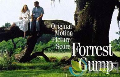 《阿甘正传/福雷斯特·冈普/Forrest Gump》