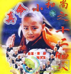 《真命小和尚之十二铜人/真命小和尚II》