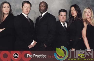 《律师本色/The Practice》