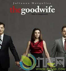 ޵2/The Good Wife season 2