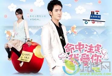 《爱上琉璃苣女孩》