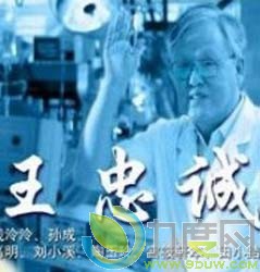 《王忠诚》剧情介绍