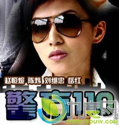 电视剧《警方110》