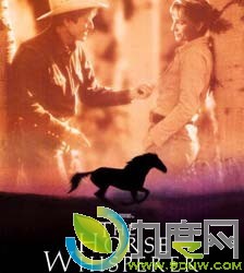 《马语者/轻声细语/情深说话未曾讲/与马说话的人》