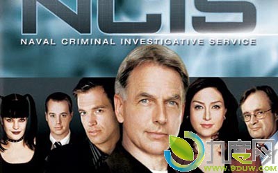 鴦2/鴦2/NCIS