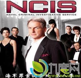 鴦8/鴦8/NCIS Season 08