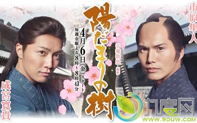 向阳之树电视剧大结局,向阳之树剧情介绍,向阳之树分集介绍,向阳之树