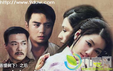 冤情演员表,冤情全部演员,冤情