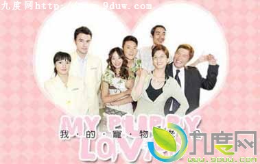 我的宠物老公剧情介绍 我的宠物老公大结局 我的宠物老公分集剧情