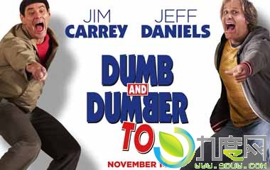 阿呆与阿瓜2剧情介绍,超低能王,DumbandDumberTo