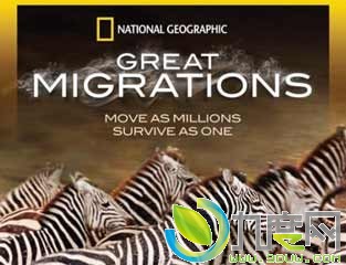 ҵǨ,Ǩּ,Ǩ,Great.Migrations