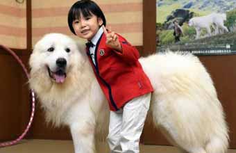 那霸三休(6岁)演员 寺田心