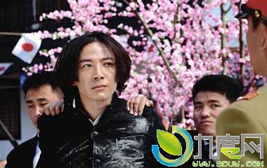 电视剧蚂蚱大结局,蚂蚱全集剧情,蚂蚱分集介绍,电视剧蚂蚱全集下载,蚂蚱