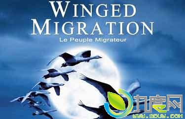 ӰǨ/η/Ǩ/Le peuple migrateur