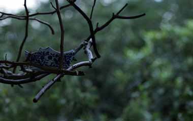 Ӿ硶԰ּ֡ܣڰ˼——ǽĻ԰ 