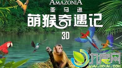 ӰѷȺ/ɫ/Amazonia/ѷִð֮Ⱥ/ѷ