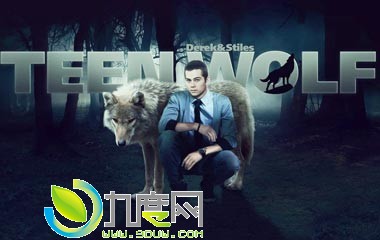 ǵ/Teen Wolf 6ּܵ1-10ȫ