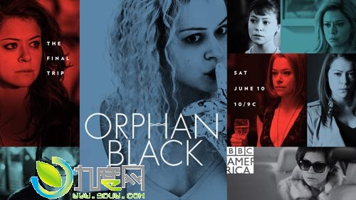 ɫ¶弾/Orphan Black5ּ1-10ȫ