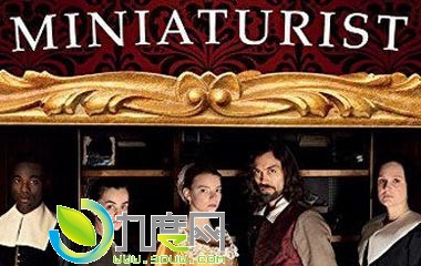 ΢ݹ/΢/The Miniaturist1-2ȫּԱ