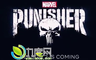 ͷߵڶ/Ʋ2/Marvel's The Punisher2ּ1-13ȫ