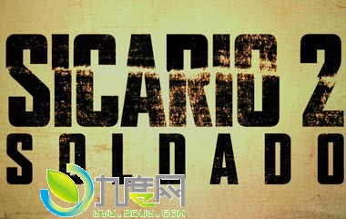 《边境杀手2边境战士/边境杀手2/Sicario 2: Soldado》电影故事简介,怒火边界2毒裁者上映时间及演员表