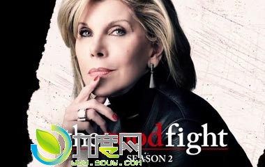 ֮սڶ/սͥ2/The Good Fightּ1-13ȫ