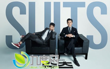 ʦ/SUITS/װʦ鼰