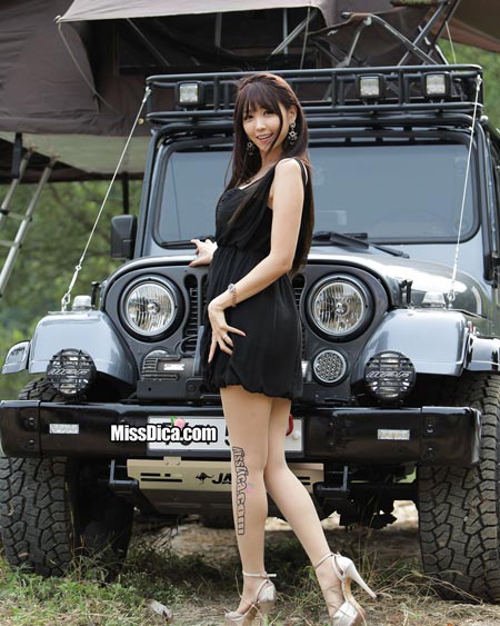 ۣʻۣԸдͼƬ,дϼ,۸Ͻ