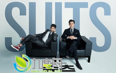 װʦ/SUITS/ʦּܵ1-16ȫ