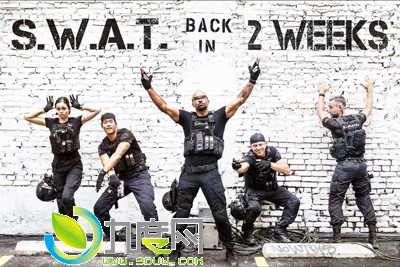 ؾ2/ؾ2/S.W.A.T. Season 21-22ȫ