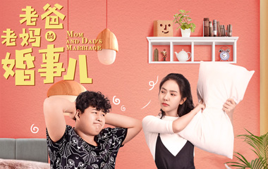 电视剧老爸老妈的婚事儿分集剧情介绍第1-30全集大结局