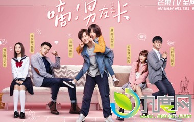 电视剧嘀男友卡分集剧情介绍第1-20全集结局/播出时间/演员表