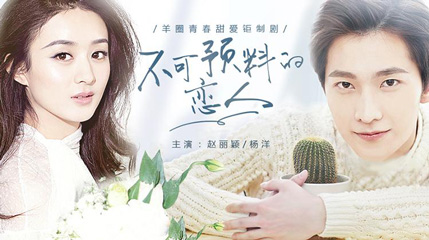 电视剧不可预料的恋人分集剧情简介1-20全集结局/演员表/剧照图片