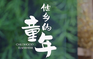 他乡的童年剧情简介,记录片他乡的童年故事介绍