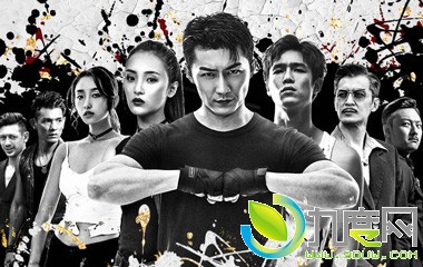 电视剧非黑即白分集剧情介绍第1-12全集大结局/播出时间/演员表