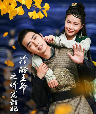 网剧冷酷王爷之娇宠甜妃剧情介绍,冷酷王爷之娇宠甜妃什么时候播出时间,演员表