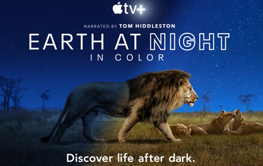 ҹɫеĵ/Earth at Night in Colorܵ1-6ȫ,ҹɫеĵʲôʱӳ,ۿ