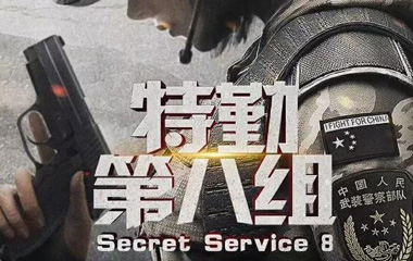 特勤第八组剧情简介,电视剧特勤第八组故事介绍,特勤八组剧照海报