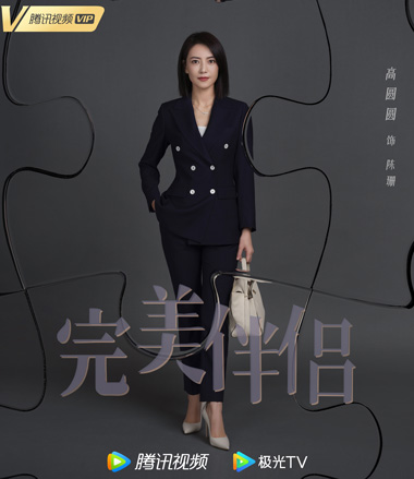 电视剧完美伴侣剧情简介,完美伴侣故事介绍