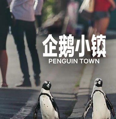 С/Penguin Town/ܣʲôʱӳ